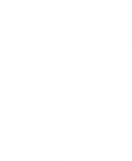 Logo Sachsen Transfer